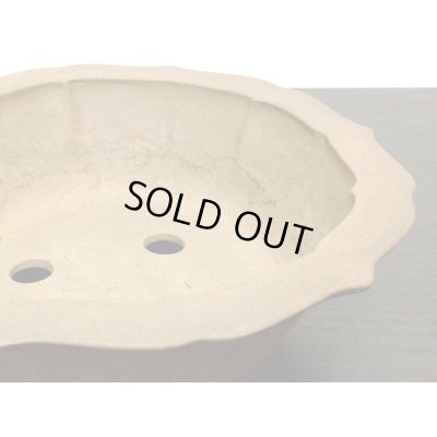 Photo5: Bonsai Pot / Rinka