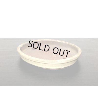 Photo4: "Shosen Yamaaki " Tokoname Pot / Japanese Bonsai Pot