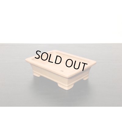 Photo4: "Gyozan" Tokoname Pot / Japanese Bonsai Pot