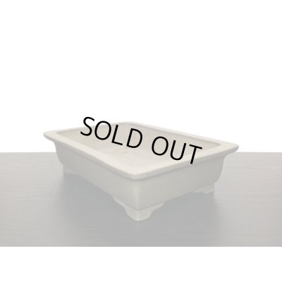 Photo5: "Nakano Gyouzan " Tokoname Pot / Japanese Bonsai Pot