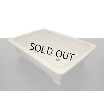 Photo4: "Nakano Gyouzan " Tokoname Pot / Japanese Bonsai Pot