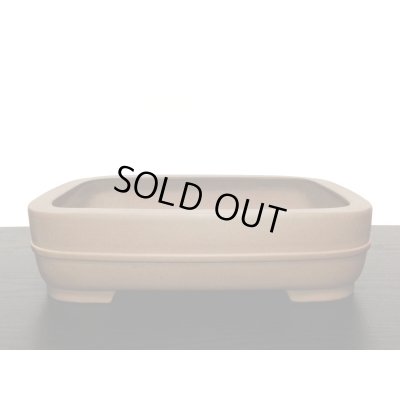 Photo8: "Nakano Gyouzan " Tokoname Pot / Japanese Bonsai Pot