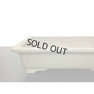 Photo3: "Nakano Gyouzan " Tokoname Pot / Japanese Bonsai Pot