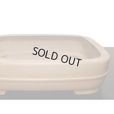 Photo7: "Nakano Gyouzan " Tokoname Pot / Japanese Bonsai Pot