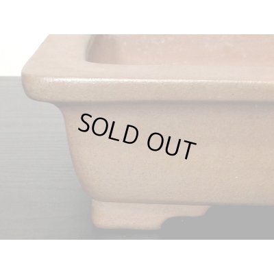 Photo8: "Nakano Gyouzan " Tokoname Pot / Japanese Bonsai Pot