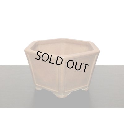 Photo7: "Hisada Keizan " Tokoname Pot / Japanese Bonsai Pot