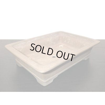 Photo5: "Nakano Gyouzan " Tokoname Pot / Japanese Bonsai Pot