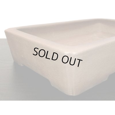 Photo5: "Nakano Gyouzan " Tokoname Pot / Japanese Bonsai Pot