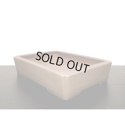 Photo7: "Nakano Gyouzan " Tokoname Pot / Japanese Bonsai Pot