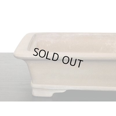 Photo6: "Nakano Gyouzan " Tokoname Pot / Japanese Bonsai Pot