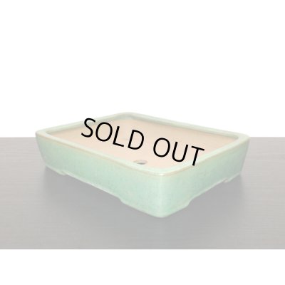 Photo6: "Yamafusa" Tokoname Pot / Japanese Bonsai Pot