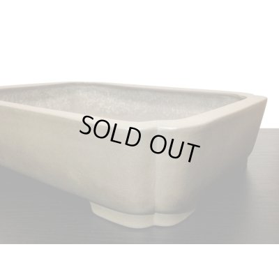 Photo3: "Nakano Gyouzan" Tokoname Pot / Japanese Bonsai Pot