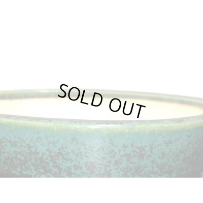 Photo9: "Koyo" Tokoname Pot / Japanese Bonsai Pot