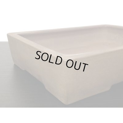 Photo8: "Nakano Gyouzan" Tokoname Pot / Japanese Bonsai Pot