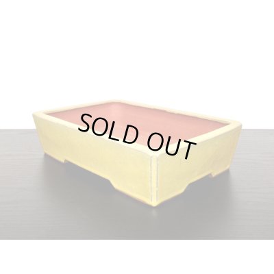 Photo6: "Eimei Yozan" Tokoname Pot / Japanese Bonsai Pot