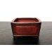 Photo2: "Bigei" Tokoname Pot / Japanese Bonsai Pot (2)