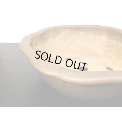 Photo5: "Koshousen Yamaaki" Tokoname Pot / Japanese Bonsai Pot