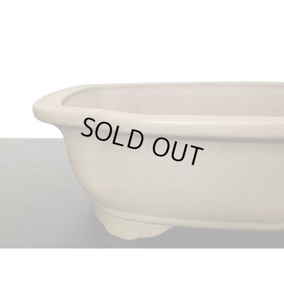 Photo3: "Nakano Gyouzan" Tokoname Pot / Japanese Bonsai Pot