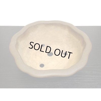 Photo3: "Koshousen Yamaaki" Tokoname Pot / Japanese Bonsai Pot