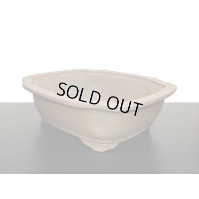 Photo4: "Nakano Gyouzan" Tokoname Pot / Japanese Bonsai Pot