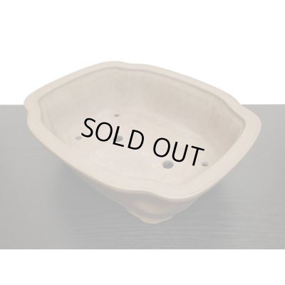 Photo6: "Nakano Gyouzan" Tokoname Pot / Japanese Bonsai Pot