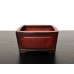 Photo1: "Bigei" Tokoname Pot / Japanese Bonsai Pot (1)