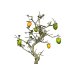 Photo6: Diospyros rhombifolia, Ornamental Persimmons / Small size Bonsai 