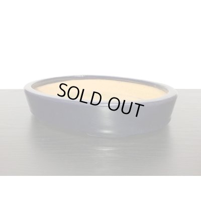 Photo3: "Hattori" Tokoname Pot / Japanese Bonsai Pot [HK0424]