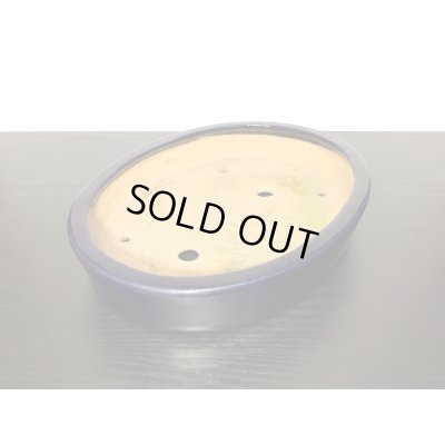 Photo6: "Hattori" Tokoname Pot / Japanese Bonsai Pot [HK0424]