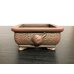 Photo2: "Bigei" Tokoname Pot / Japanese Bonsai Pot [HK0406] (2)