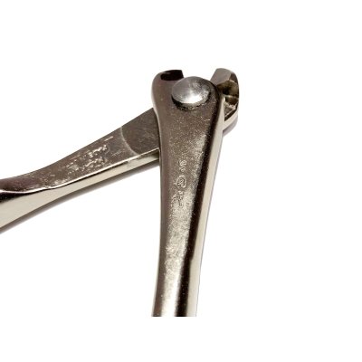 Photo4: Wire cutter / Tilt / Small size (MASAKUNI)