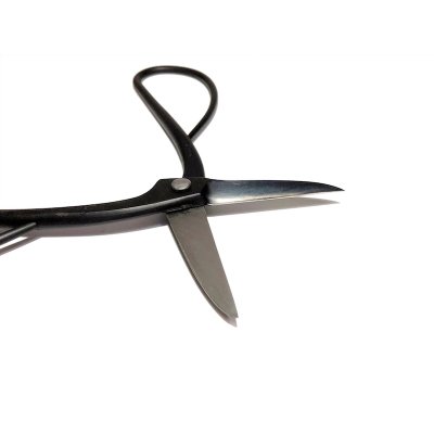 Photo4: Trimming shears / Long handled (MASAKUNI)