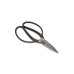 Photo1: Bonsai scissors / Blade polished (YAGIMITSU) [B-4] (1)