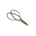 Photo1: Bonsai scissors / Hard chrome (YAGIMITSU) [HK-6] (1)