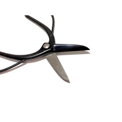 Photo4: Trimming shears (MASAKUNI)