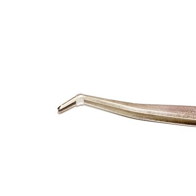 Photo2: Bonsai tweezers for Pines and Junipers / Curved (MASAKUNI)