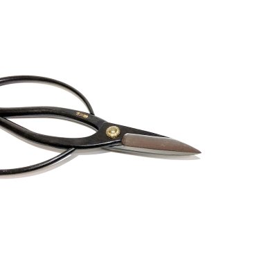 Photo2: Bonsai scissors