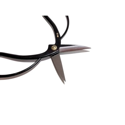 Photo3: Bonsai scissors