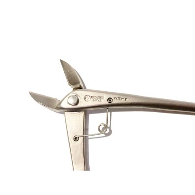 Photo6: Brunch cutter / Crescent Blade / Small size (MASAKUNI)