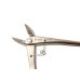 Photo6: Brunch cutter / Crescent Blade / Small size (MASAKUNI)
