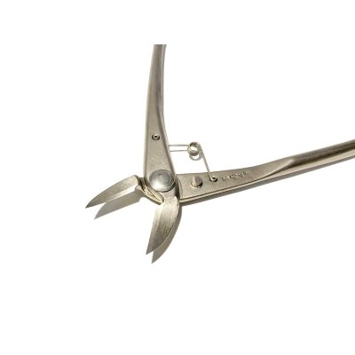 Photo3: Brunch cutter / Crescent Blade / Small size (MASAKUNI)