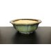 Photo1: "Koyo" Tokoname Pot / Japanese Bonsai Pot  (1)