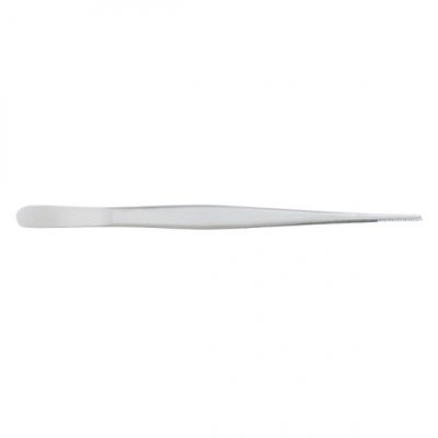 Photo1: Bonsai professional straight stainless steel tweezers