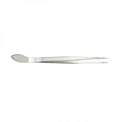 Photo1: Bonsai straight stainless steel tweezers