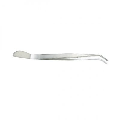 Photo1: Bonsai curved stainless steel tweezers