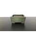 Photo1: "Shousen Yamaaki" Tokoname Pot / Japanese Bonsai Pot  (1)