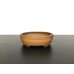 Photo1: "Bigei" Tokoname Pot / Japanese Bonsai Pot  (1)