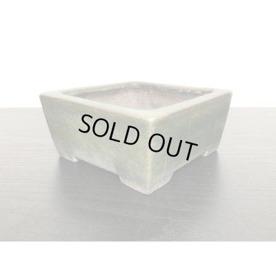 Photo6: "Shousen Yamaaki" Tokoname Pot / Japanese Bonsai Pot 
