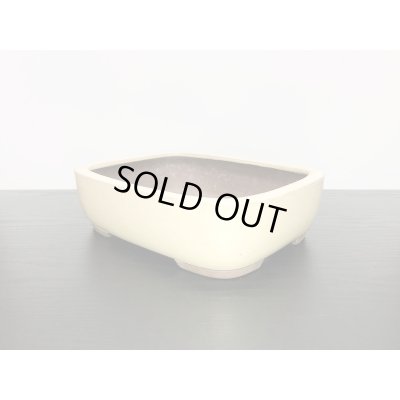 Photo4: "Shousen Yamaaki" Tokoname Pot / Japanese Bonsai Pot 