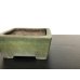 Photo2: "Shousen Yamaaki" Tokoname Pot / Japanese Bonsai Pot  (2)